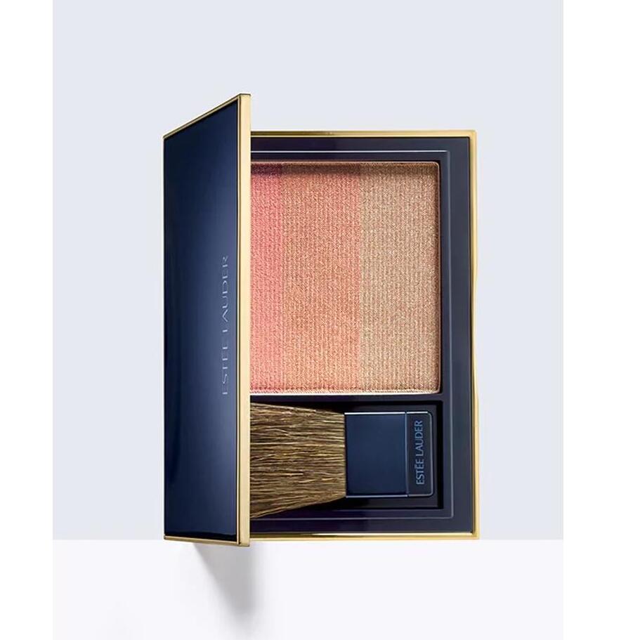 Румяна с эффектом сияния PC Envy купить в VISAGEHALL