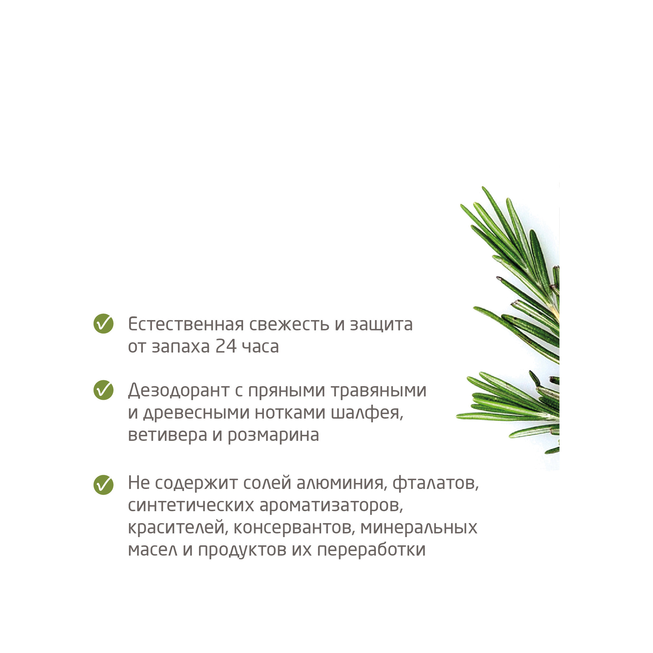 Дезодорант-ролик мужской 24 часа Roll-On  купить в VISAGEHALL