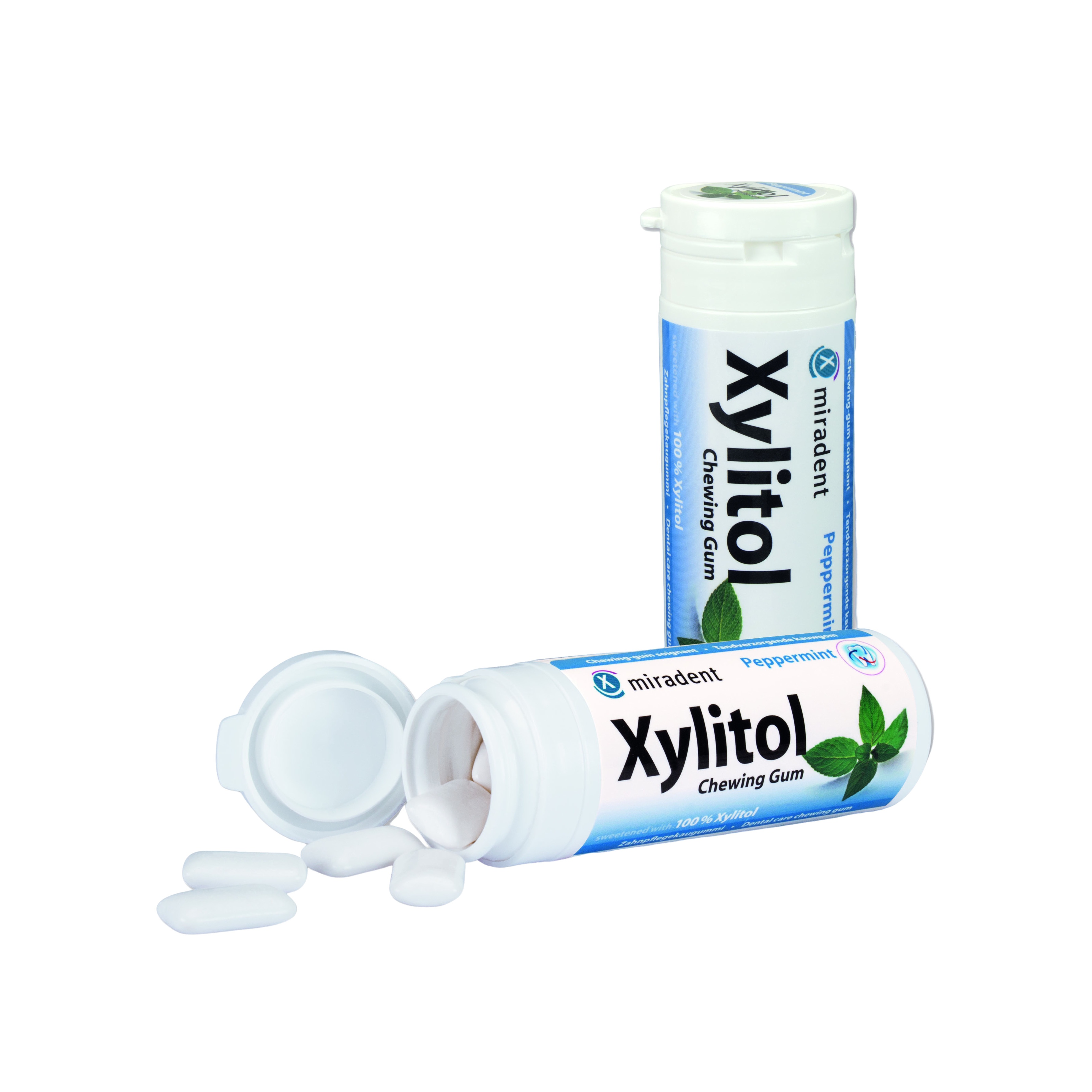 Жевательная резинка с ксилитом Peppermint купить в VISAGEHALL