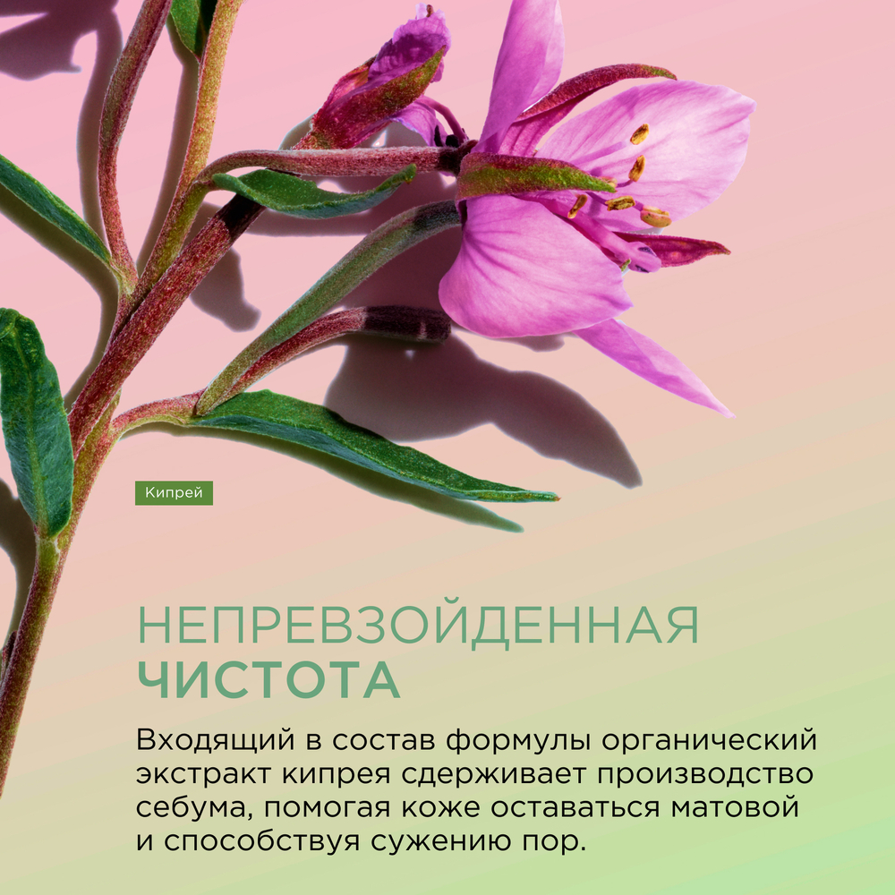 Гель для лица матирующий отшелушивающий Pure Scrub  купить в VISAGEHALL