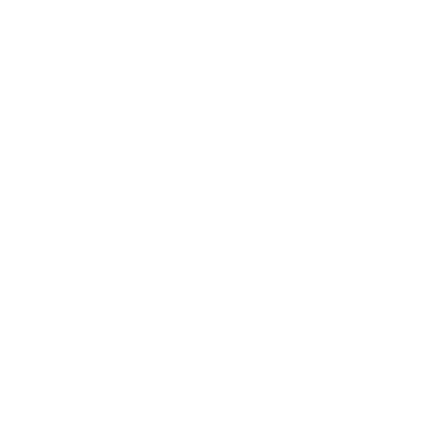 FOREVER CUSHION POWDER GOLDEN NIGHTS~Рассыпчатая пудра 001 купить в VISAGEHALL