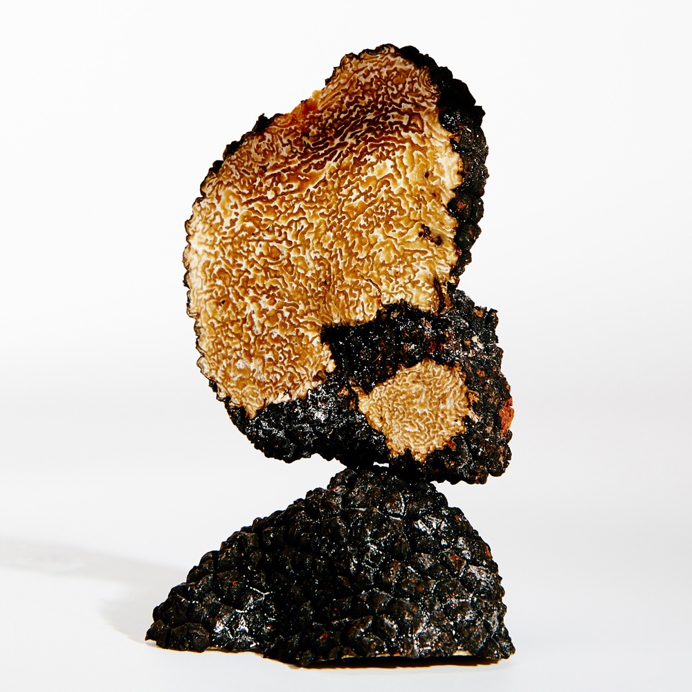 Earth Парфюмерная вода купить в VISAGEHALL