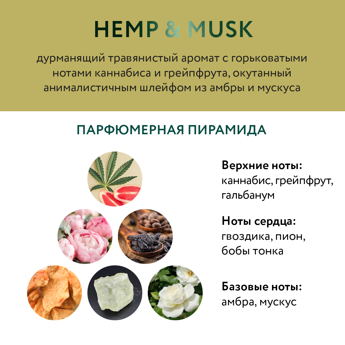 Гель для душа увлажняющий Hemp&Musk купить в VISAGEHALL