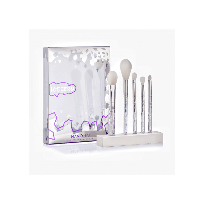 Набор из 5 кистей Зимний limit