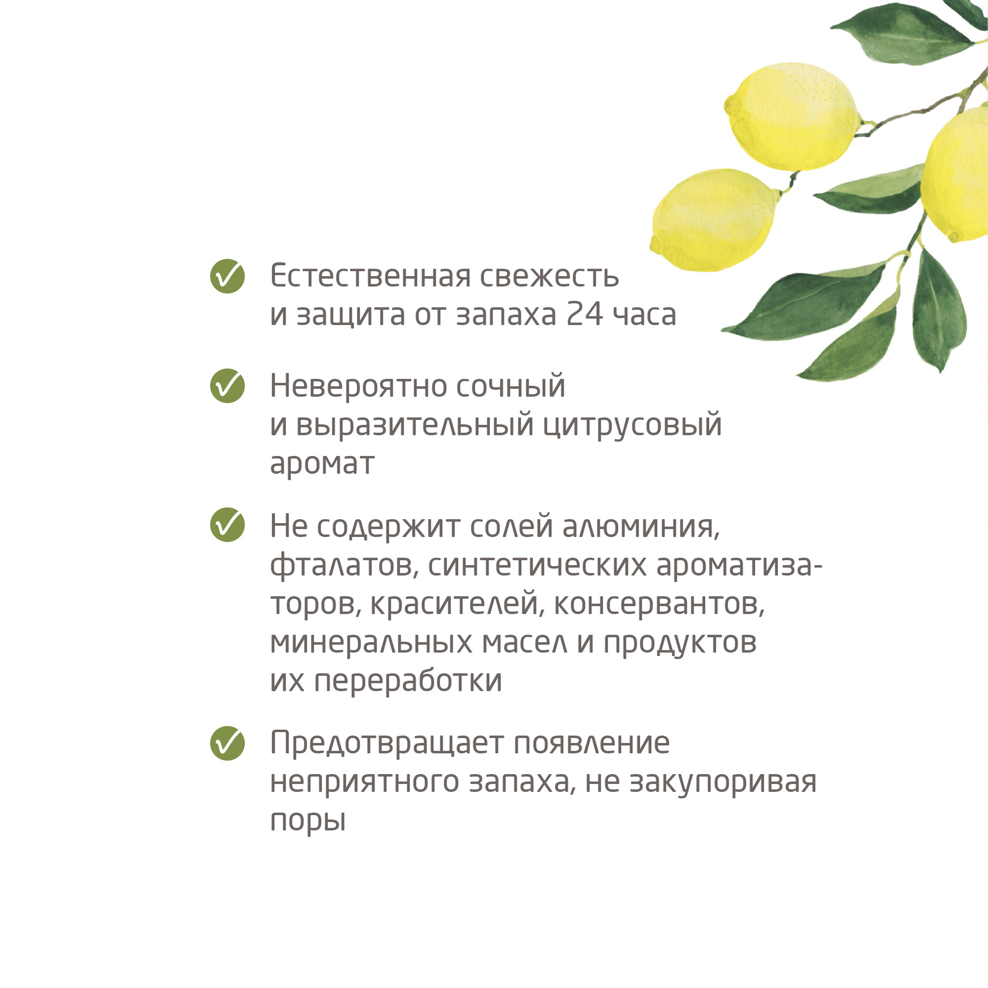 Дезодорант цитрусовый 24 часа Roll-On  купить в VISAGEHALL