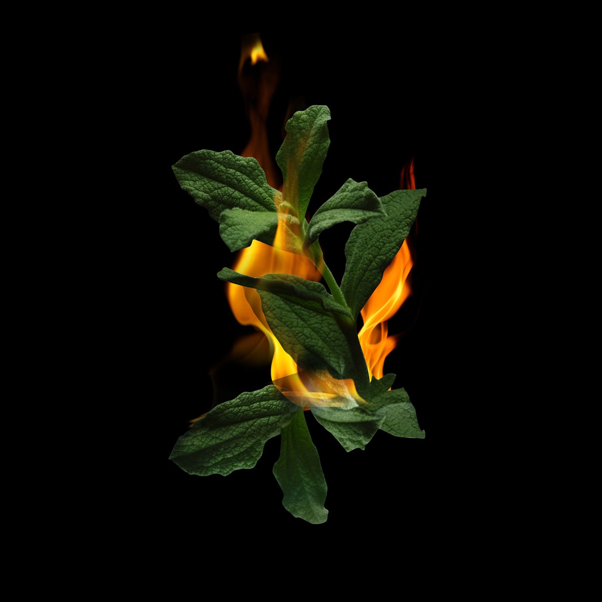 1 Million Paco Rabanne Парфюмерная вода купить в VISAGEHALL