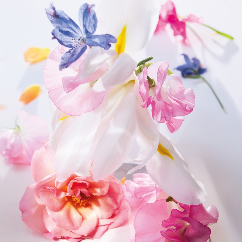 Miss Dior Парфюмерная вода купить в VISAGEHALL