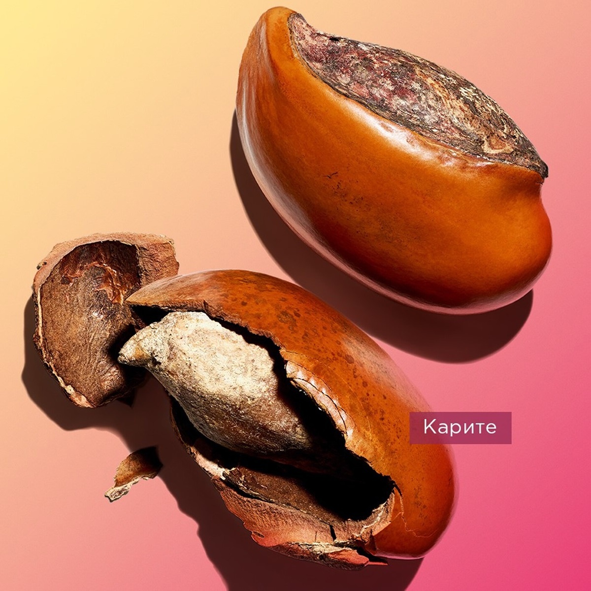 Крем для рук Specifiques Corps Jeunesse des Mains купить в VISAGEHALL