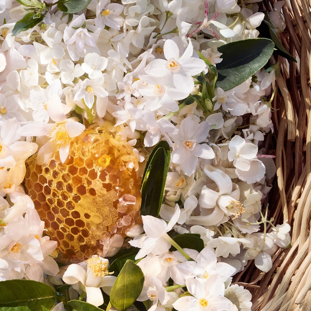 Aqua Allegoria Harvest Nerolia Vetiver Туалетная вода купить в VISAGEHALL