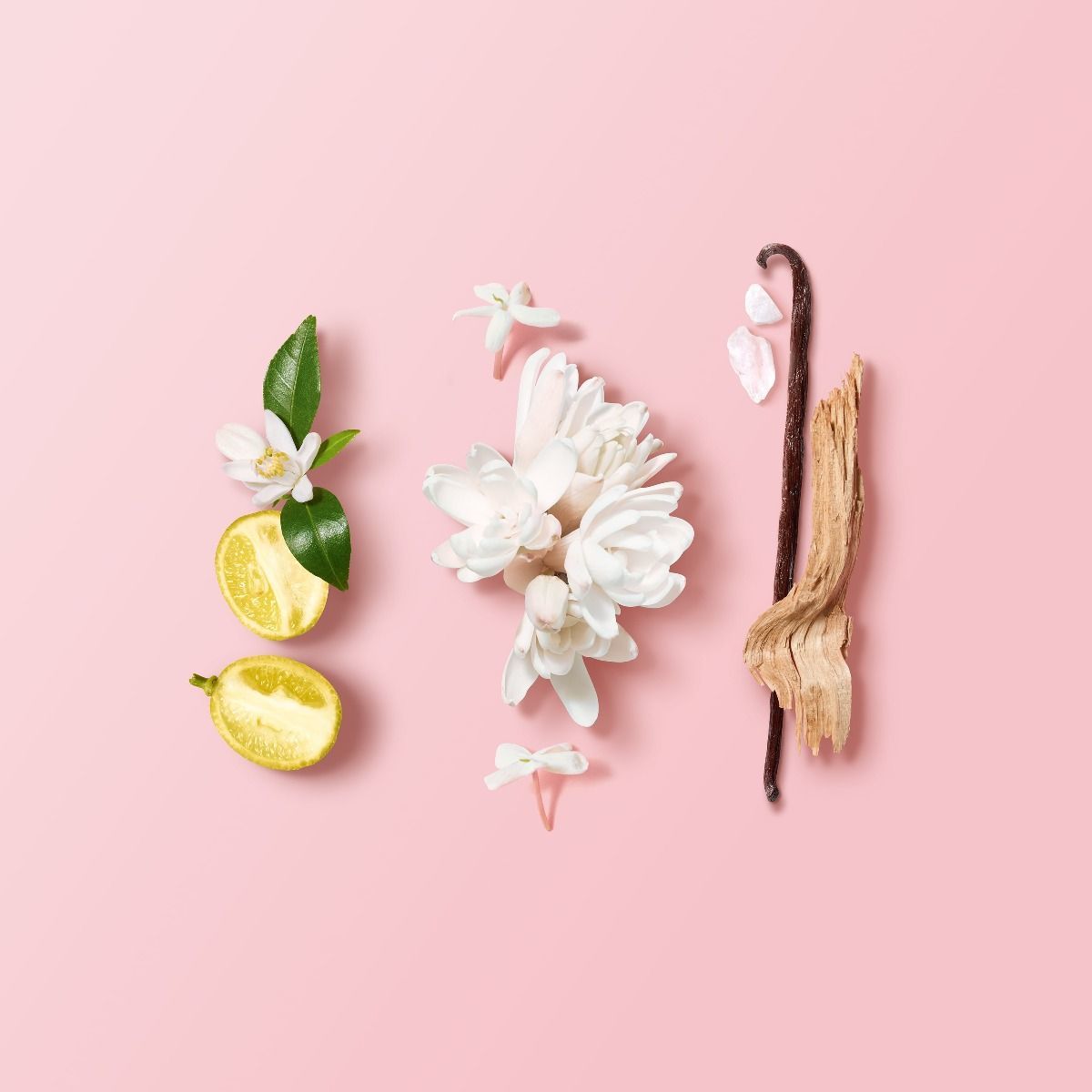 My Way Парфюмерная вода купить в VISAGEHALL