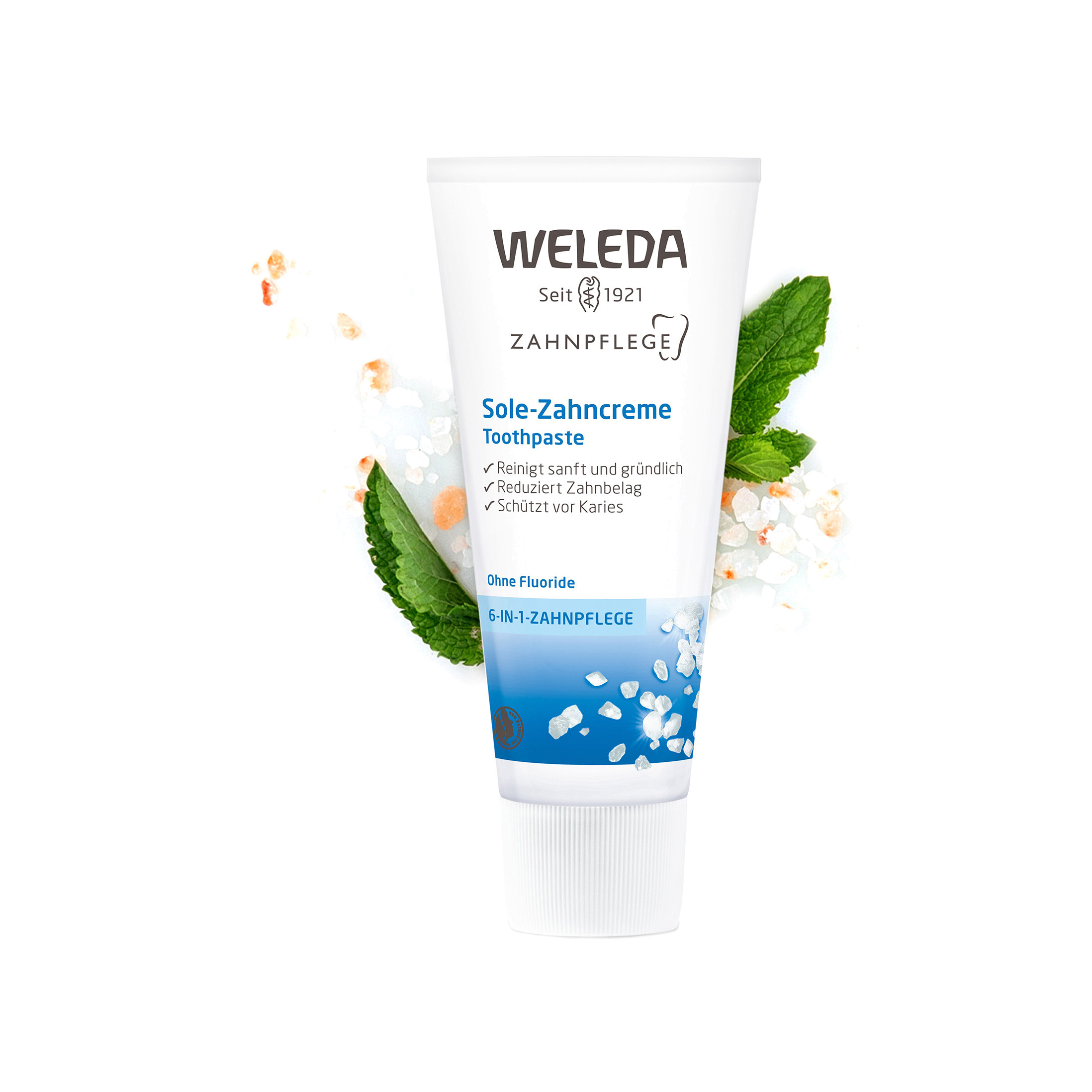 Зубная паста Солевая  купить в VISAGEHALL