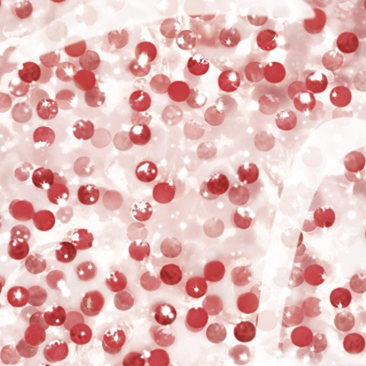 Румяна-гель для создания естественного румянца Mister Radiant Blush 20мл купить в VISAGEHALL