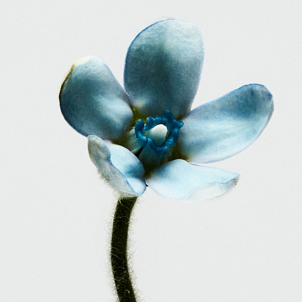 001 Woman Туалетная вода купить в VISAGEHALL