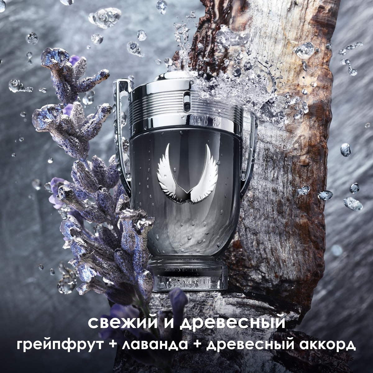 Invictus Platinum Парфюмерная вода купить в VISAGEHALL