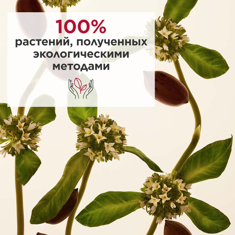 Extra-Firming крем дневной регенерирующий для любого типа кожи SPF15 (сменный блок) купить в VISAGEHALL