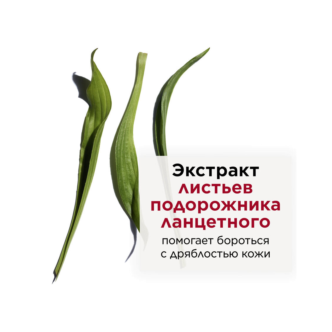 Сыворотка восстанавливающая интенсивного действия Multi-Intensive  купить в VISAGEHALL