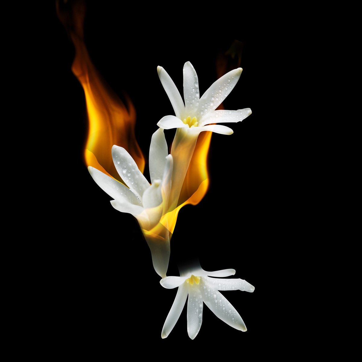 1 Million Paco Rabanne Парфюмерная вода купить в VISAGEHALL