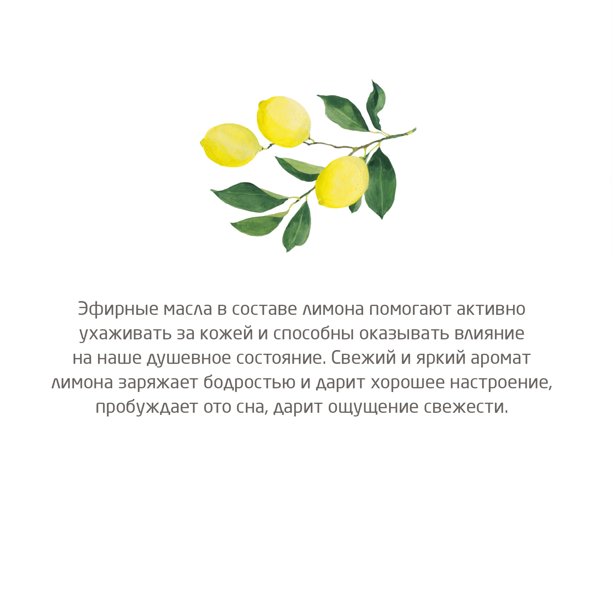 Гель для душа цитрусовый освежающий  купить в VISAGEHALL
