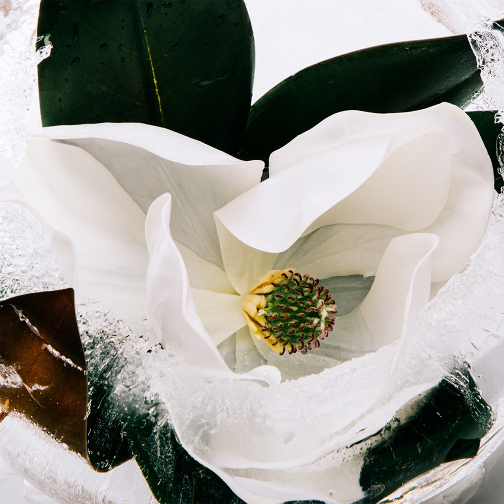 Aura Pink Magnolia Парфюмерная вода купить в VISAGEHALL