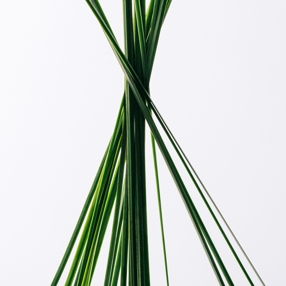 Esencia Туалетная вода  купить в VISAGEHALL