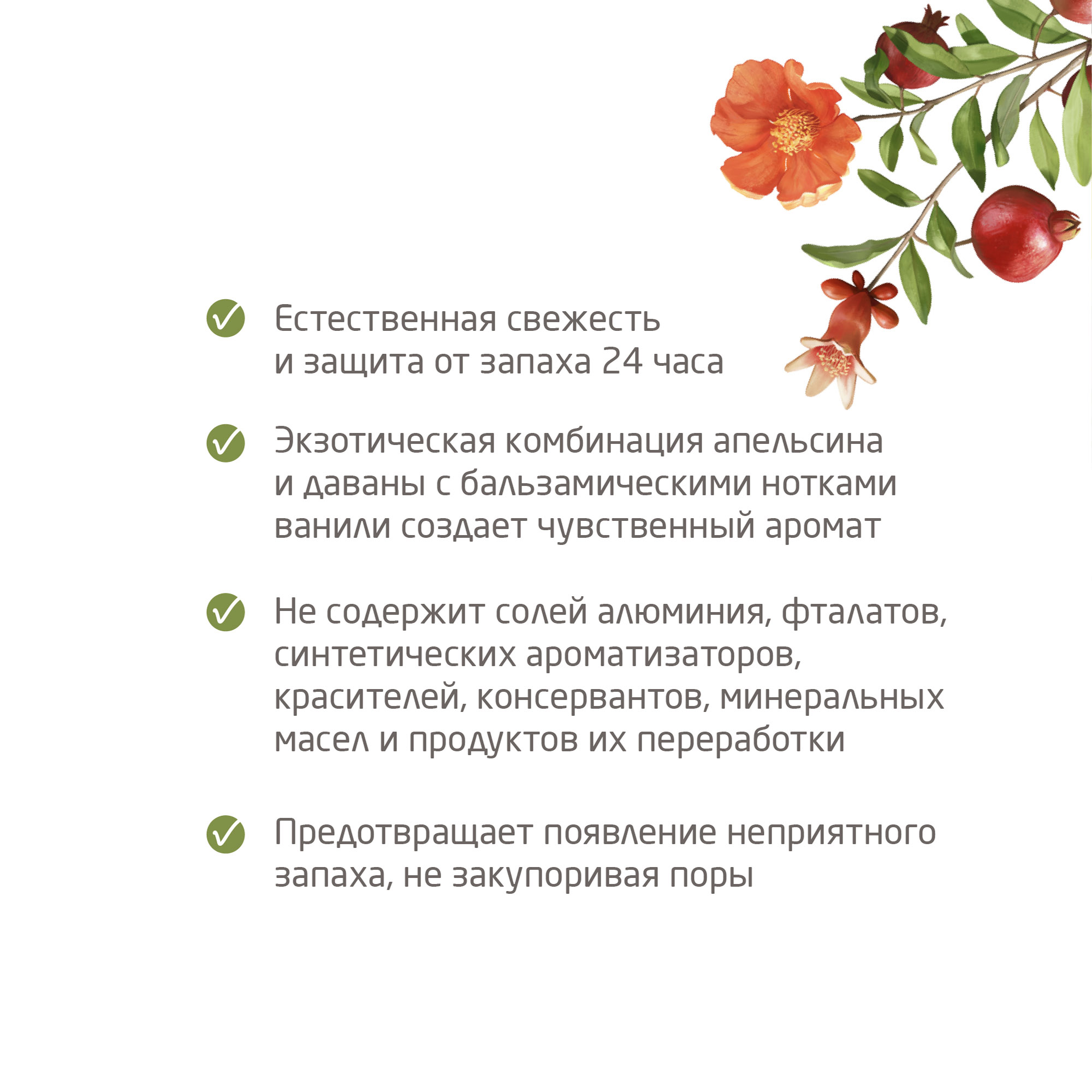 Дезодорант-ролик Гранатовый 24 часа Roll-On  купить в VISAGEHALL