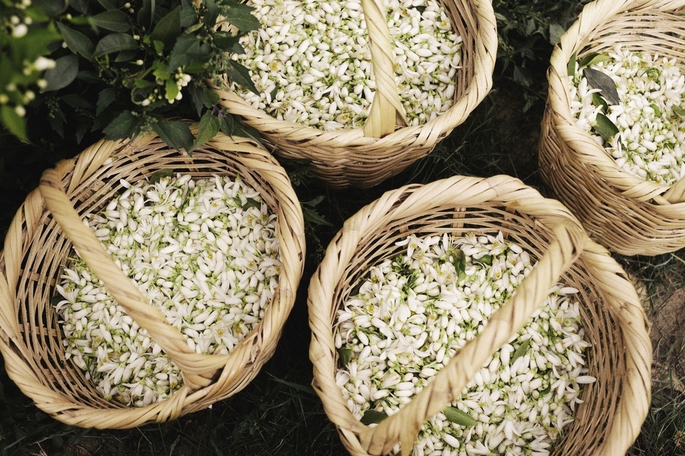 L'Interdit Edition Millesime Парфюмерная вода купить в VISAGEHALL