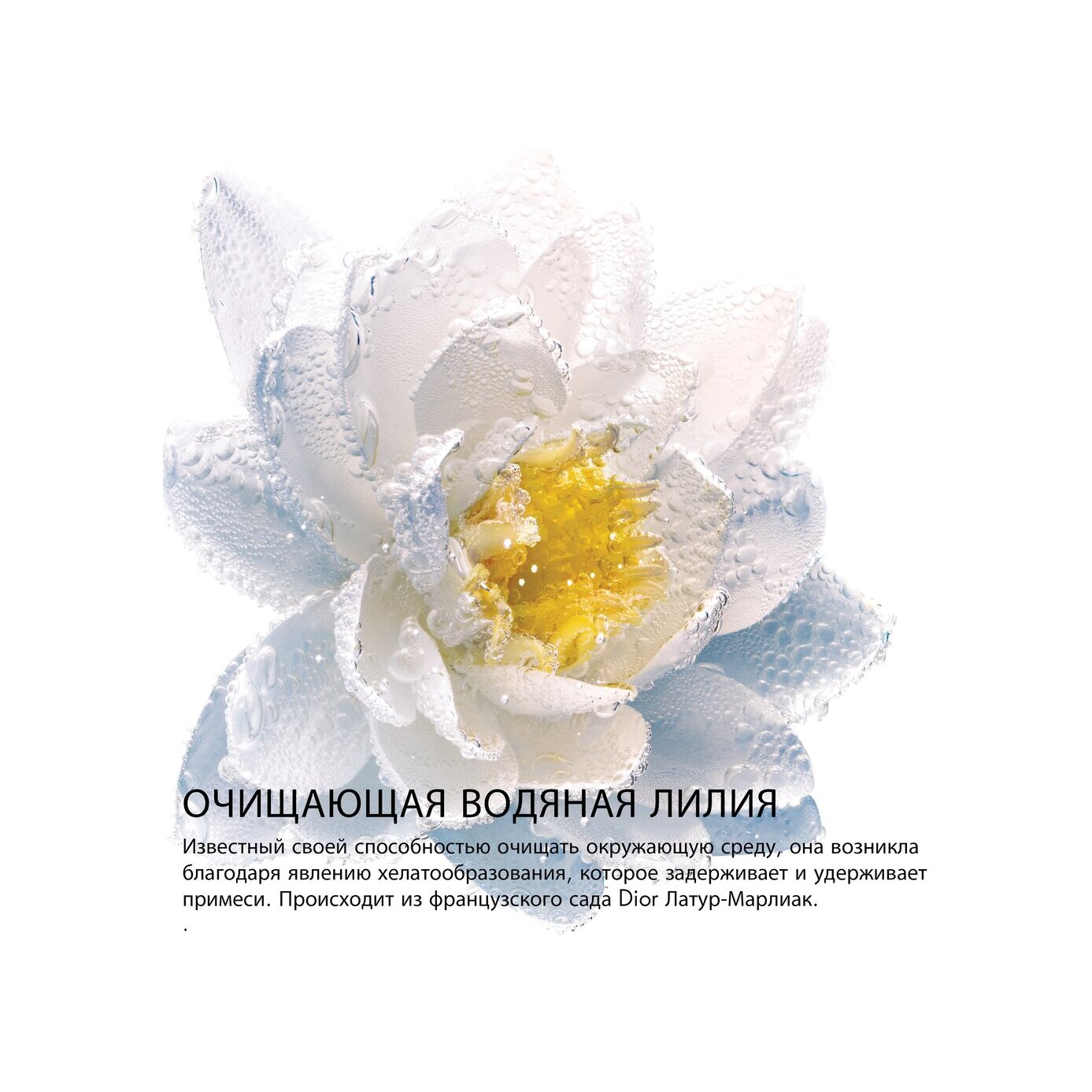 Средство для снятия макияжа с глаз и губ с экстрактом нимфеи Le Demaquillant купить в VISAGEHALL