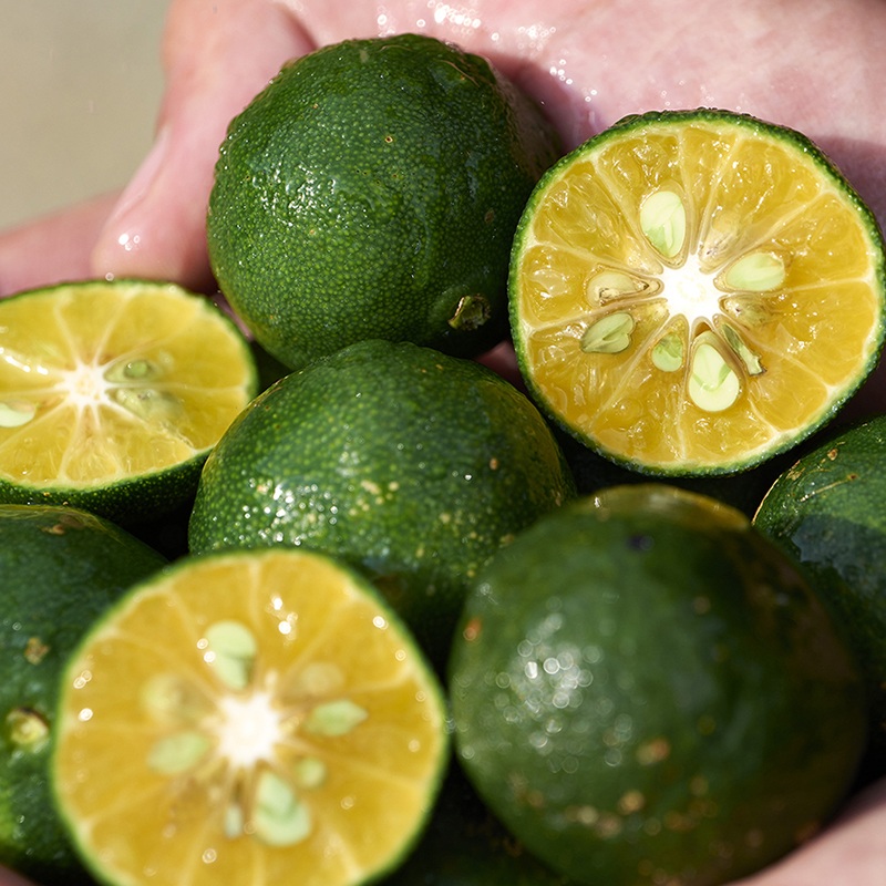 Гель очищающий Waso Shikulime  купить в VISAGEHALL