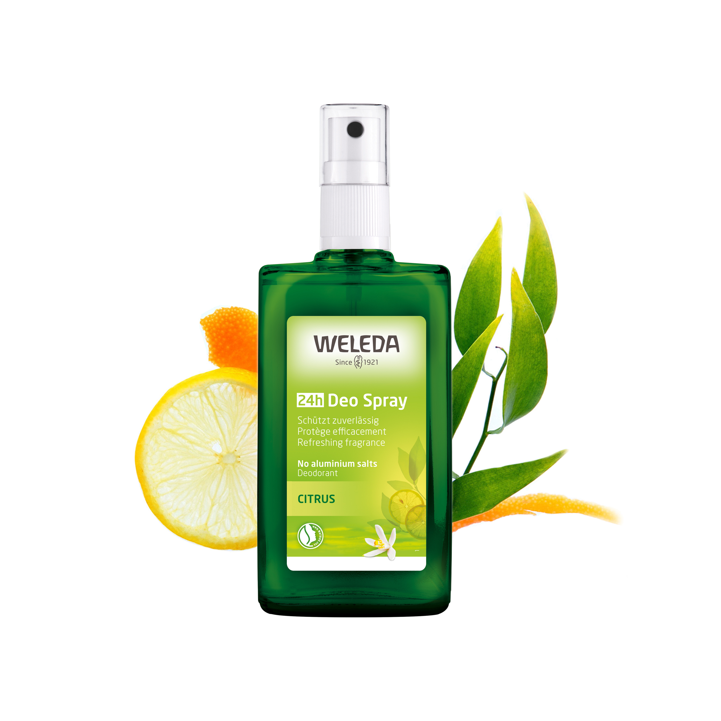 Дезодорант цитрусовый  купить в VISAGEHALL