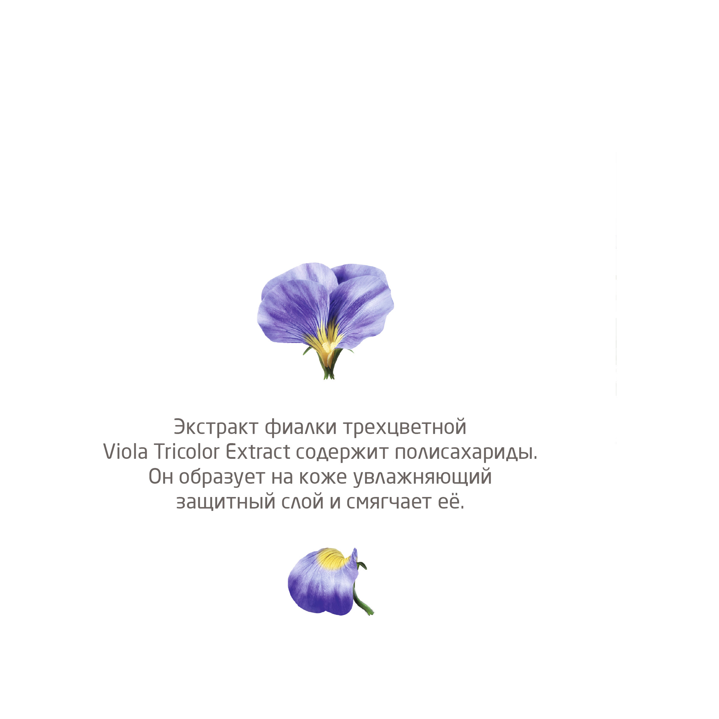 Крем универсальный питательный Skin Food купить в VISAGEHALL