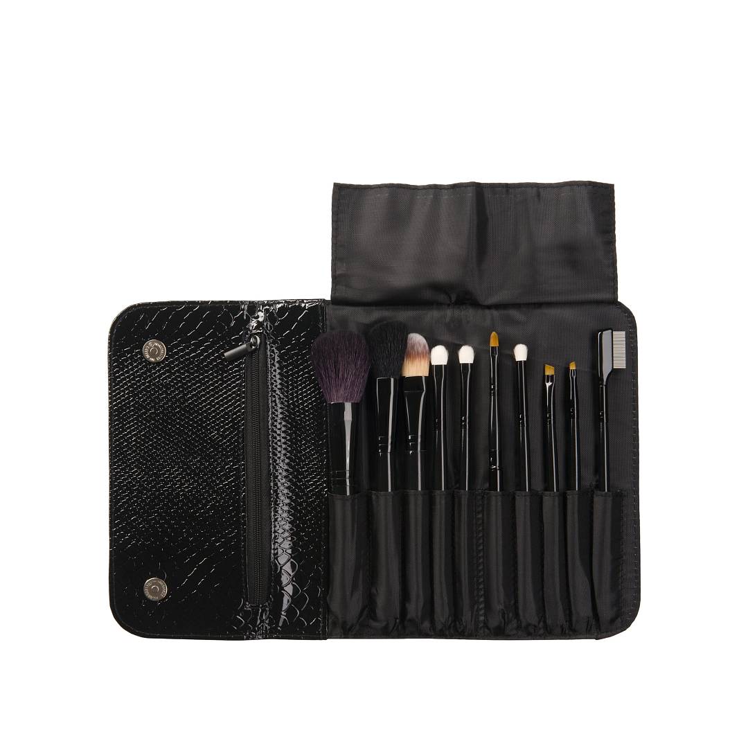 Набор кистей профессиональный чехол рептилия