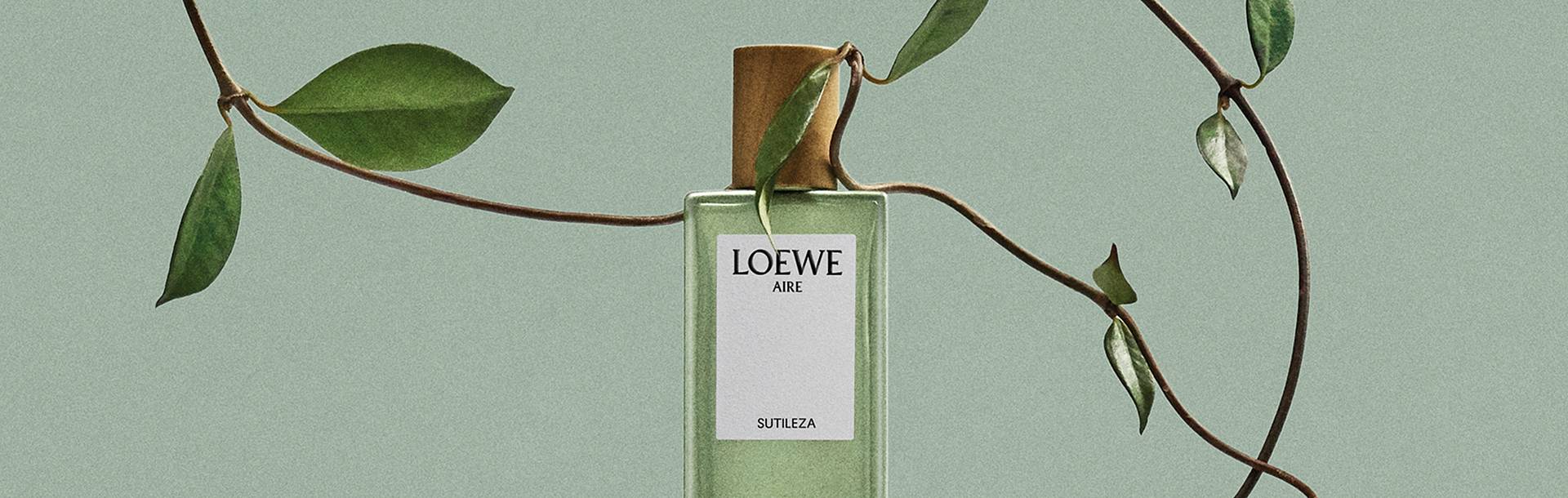 Loewe
